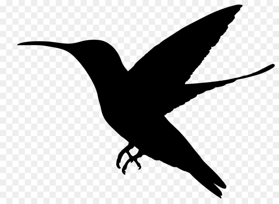 Колибри，птица PNG