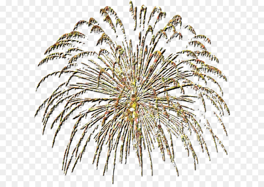 Grasses，фейерверк PNG