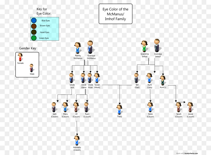 Родословная по цвету глаз схема до прабабушек и прадедушек
