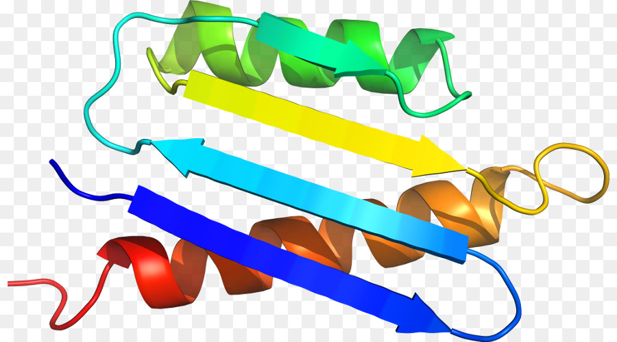 Белковая спираль，Молекула PNG