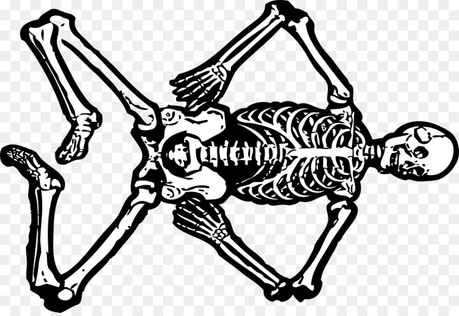 скелет，скелет человека PNG