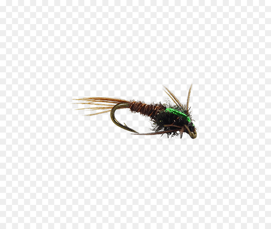 насекомое，искусственная муха PNG