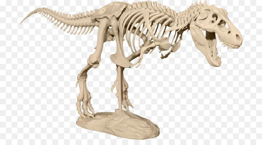 тираннозавр，3d печать PNG
