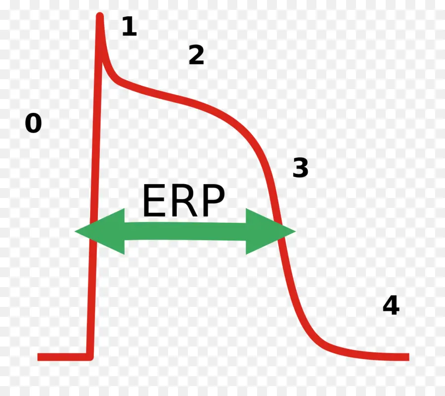 Erp график，диаграмма PNG