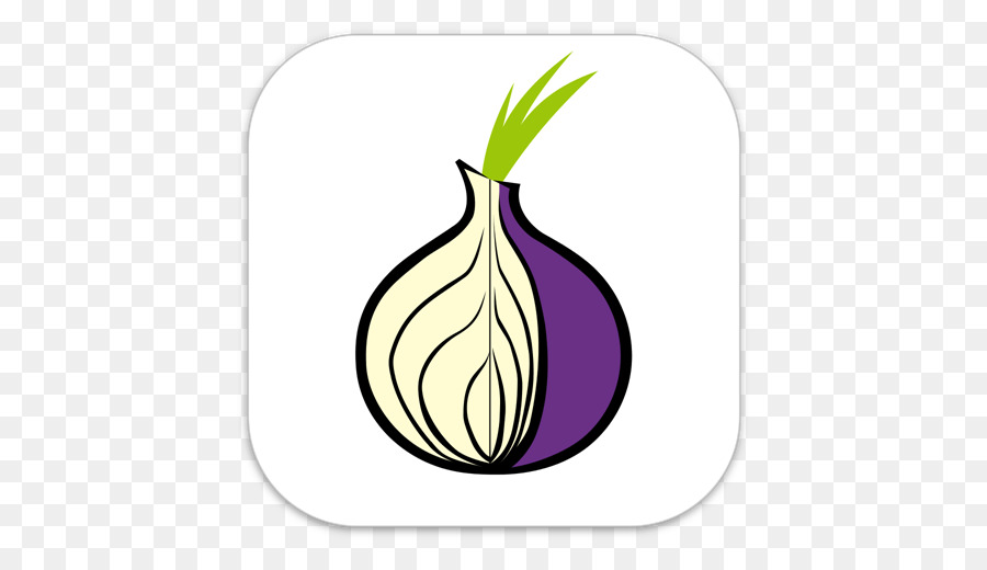 download free tor browser for android hydraruzxpnew4af
