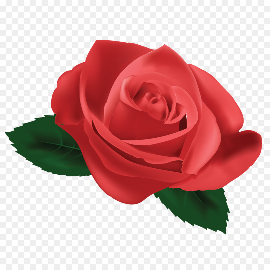 сад роз，прическа PNG