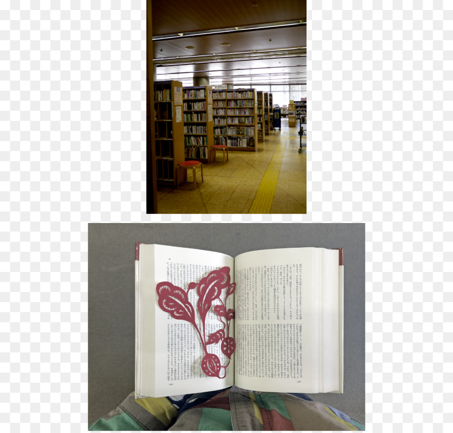 Библиотека librosa. Театр книги в библиотеке. Театр книги библиотека цель. Проект Google books.