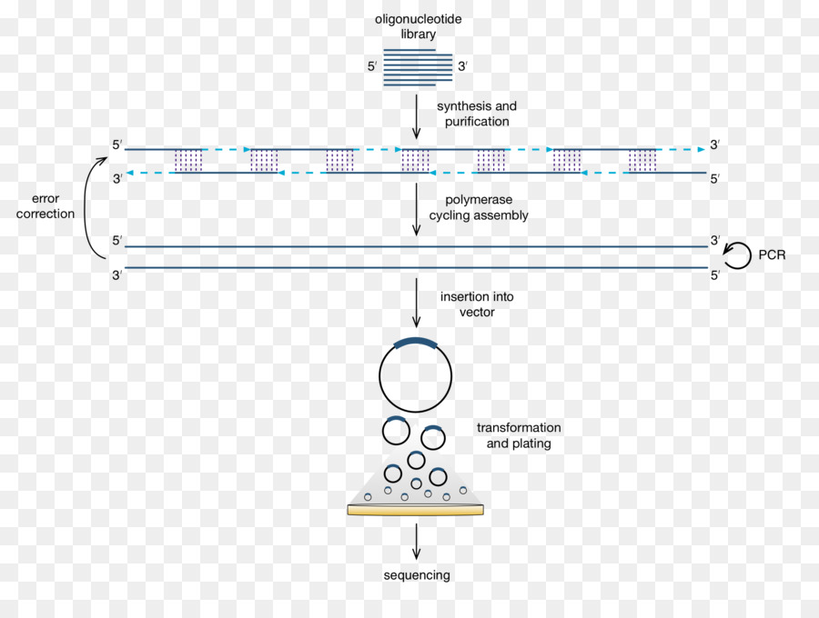 Синтез гена. Оверлап ПЦР. Synthesis of Artificial Genes. Синтез Гена с помощью ПЦР. Assembly PCR.