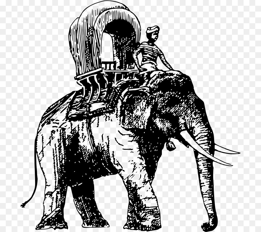 слон，цирк PNG