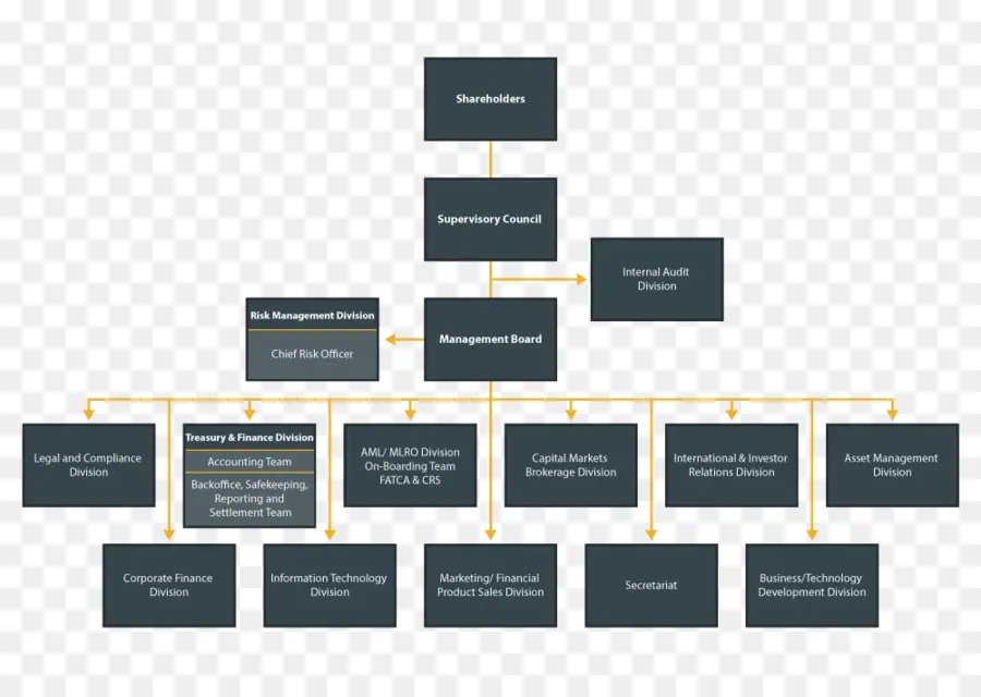 организационная структура，организационная карта PNG