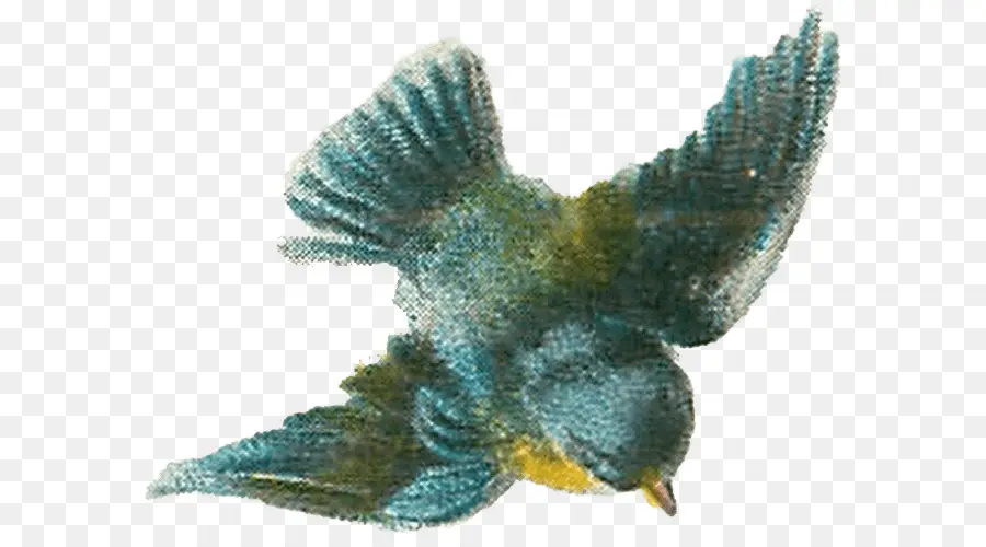 птица，винтажная одежда PNG