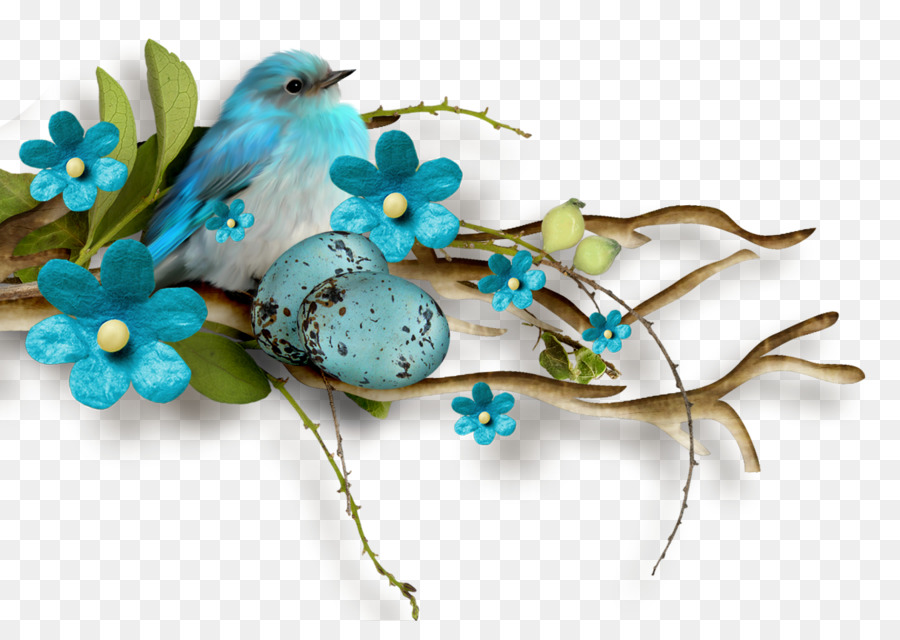 птица，синий PNG