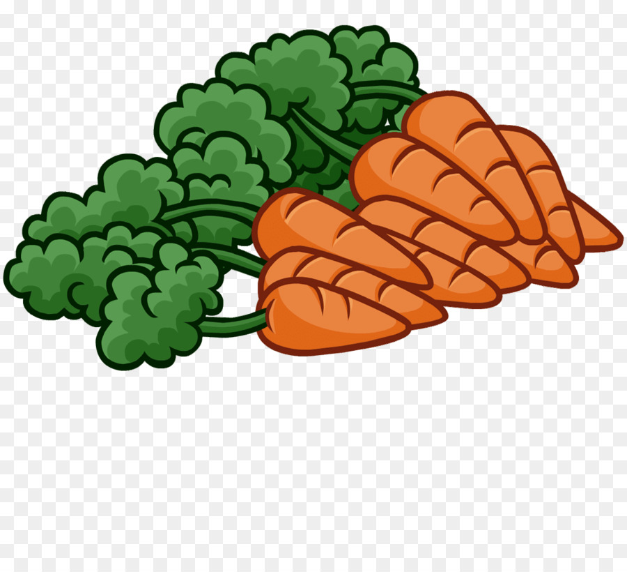морковный，овощ PNG