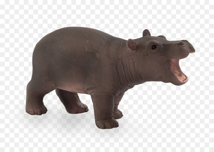 гиппопотам，Rhinoceros PNG