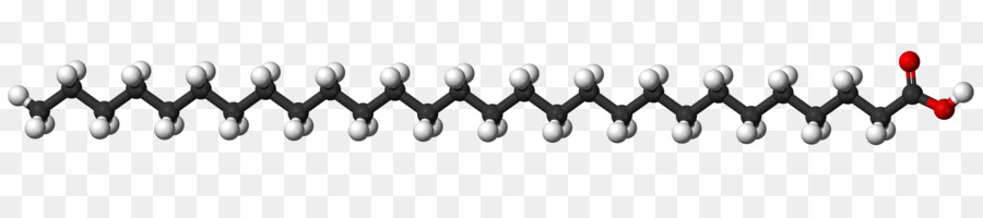 стеариновая кислота，элаидиновая кислота PNG