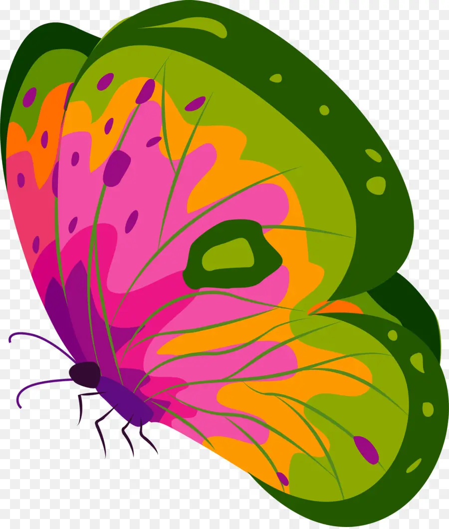 бабочка монарх，нимфалиды PNG