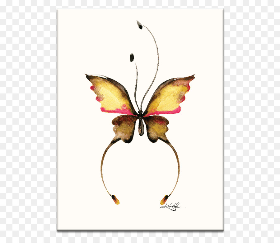 бабочка монарх，акварельная живопись PNG