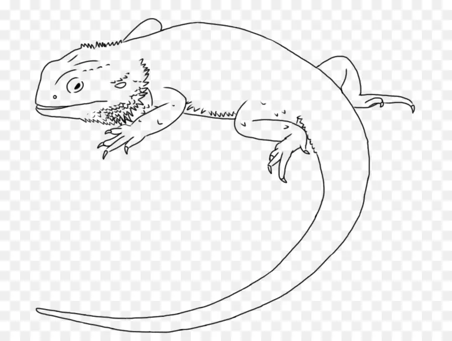 ящерица，рисунок PNG