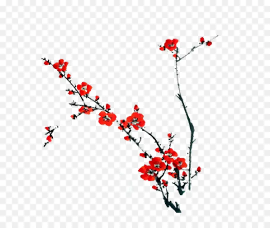 красные и белые цветы сливы，плам блоссом PNG