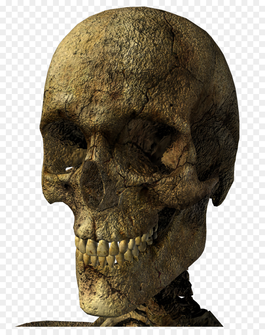 скелет，череп PNG