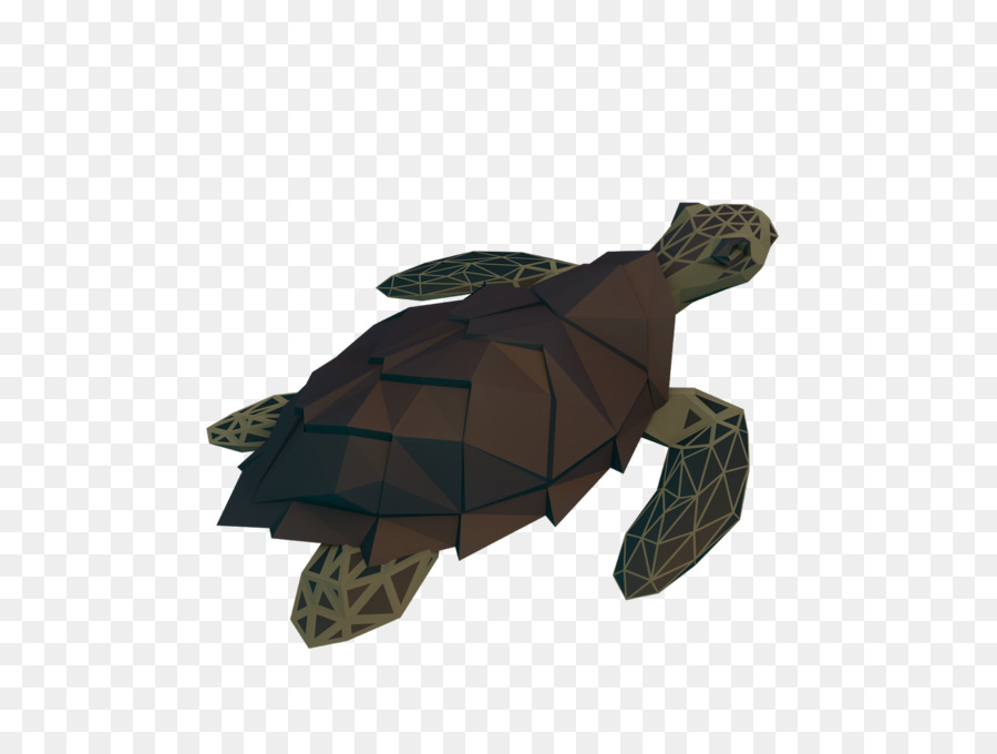 черепаха，эмидид PNG
