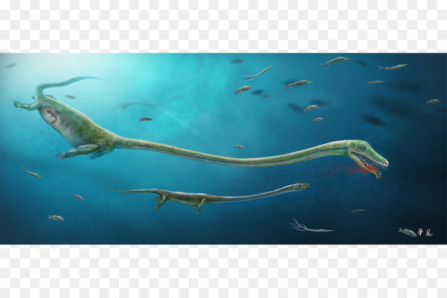Sea Monster，рептилии PNG
