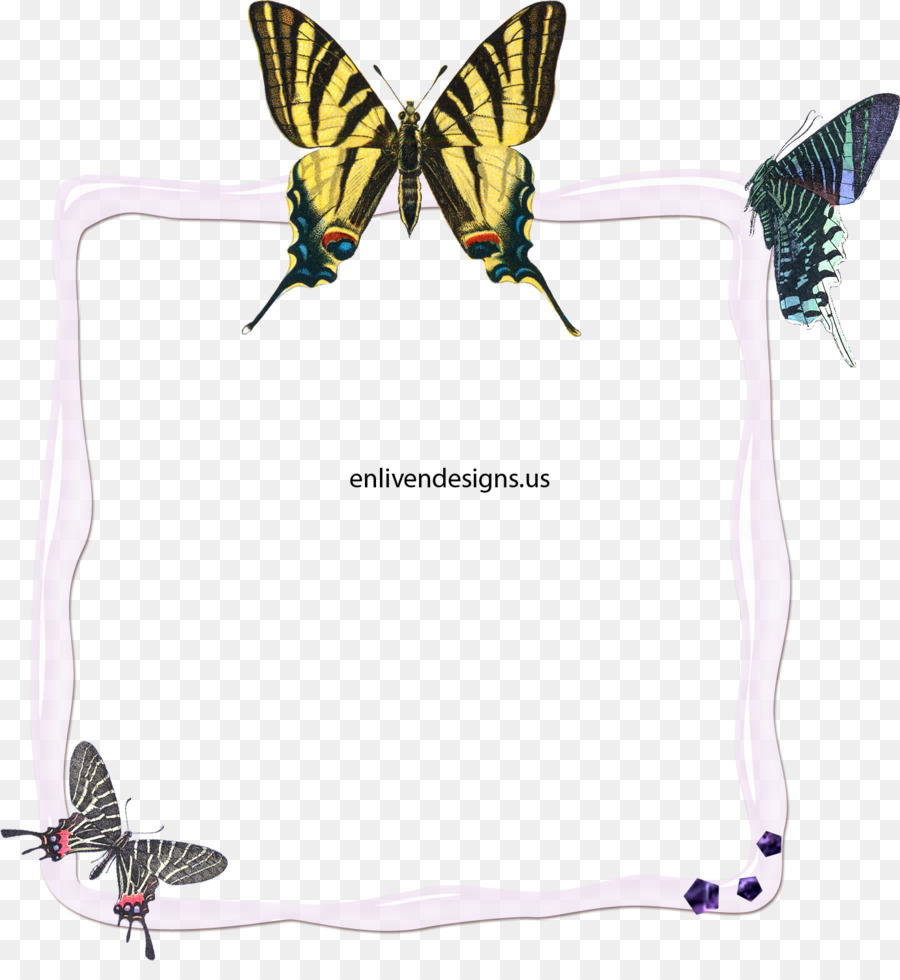 бабочка，скудные Махаон PNG