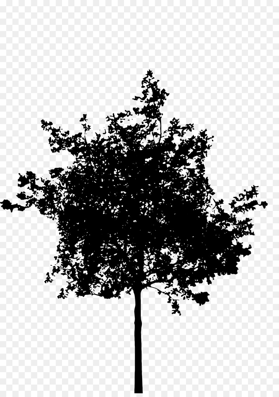 силуэт，дерево PNG