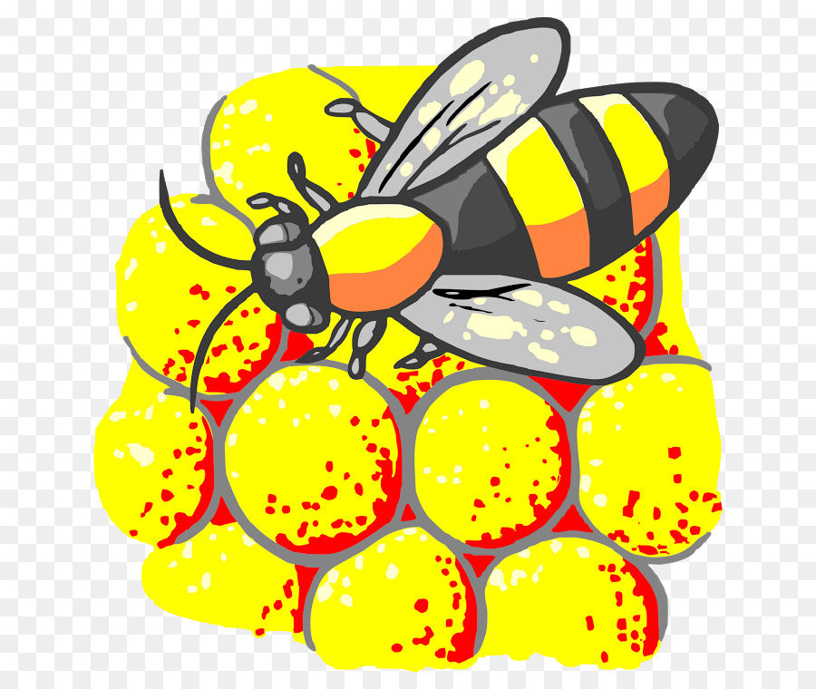мед пчелиный，бабочка монарх PNG