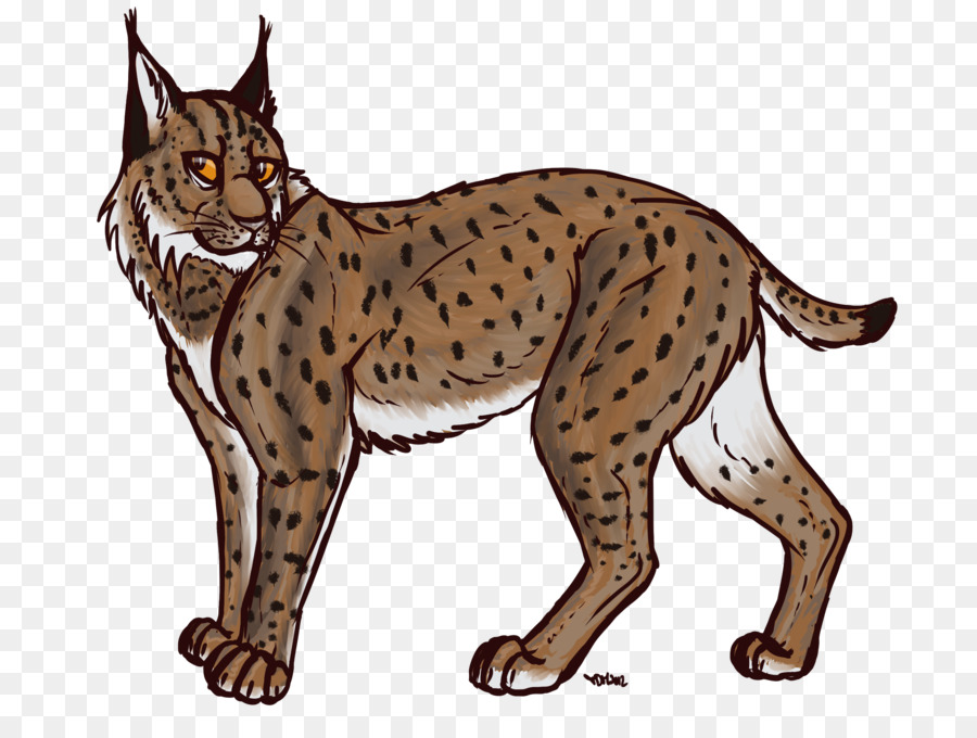 Eurasian Lynx，Felidae PNG