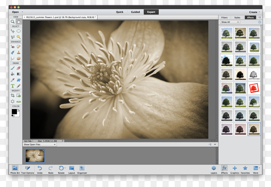 элементы Adobe фотошоп，редактирования изображений PNG