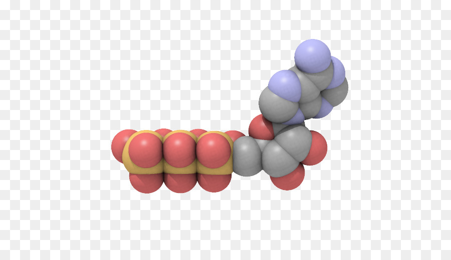 Аденозин трифосфат，энергия PNG