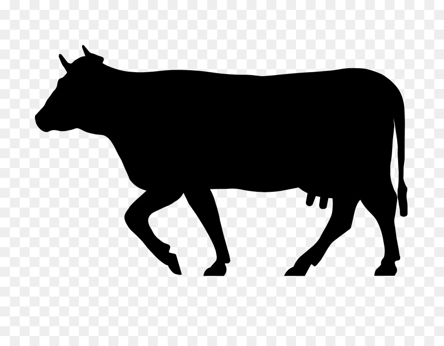 крупный рогатый скот，валлийский черный крупный рогатый скот PNG