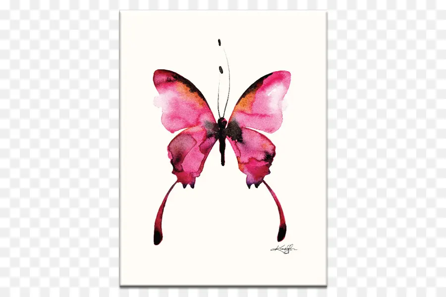бабочка，акварельная живопись PNG