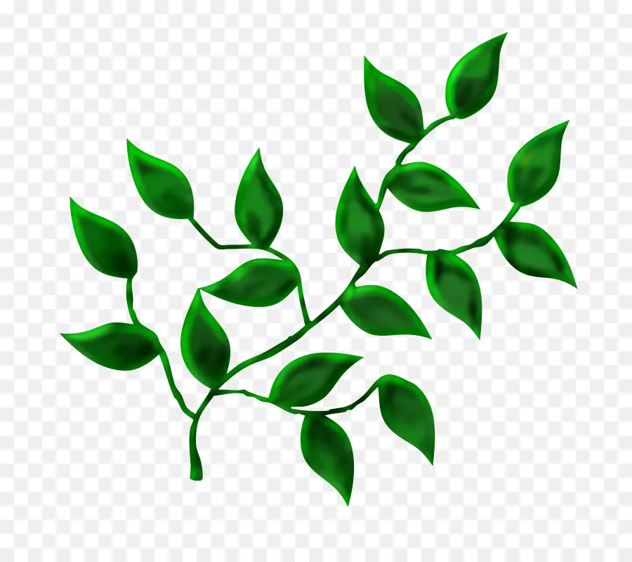 лист，дерево PNG