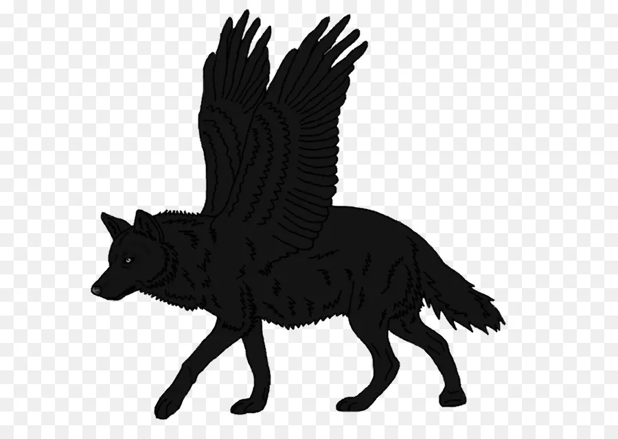 кошка，черный волк PNG
