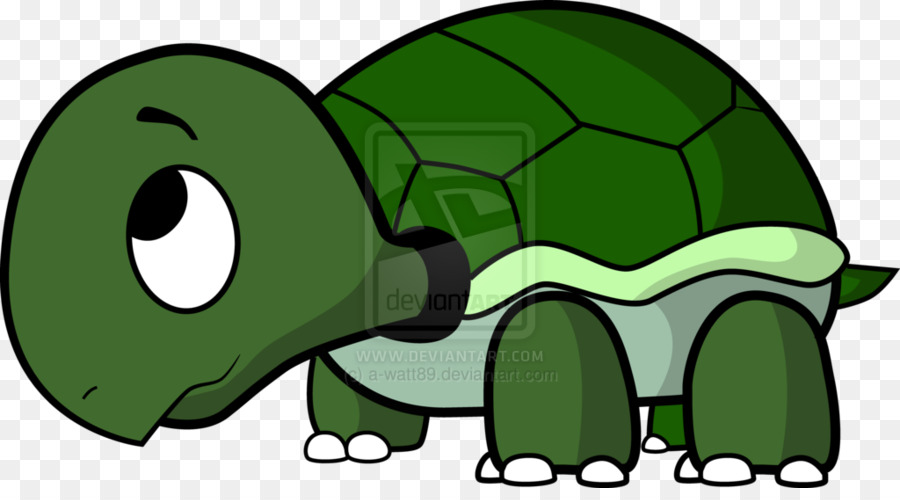 черепаха，Тома черепаха PNG