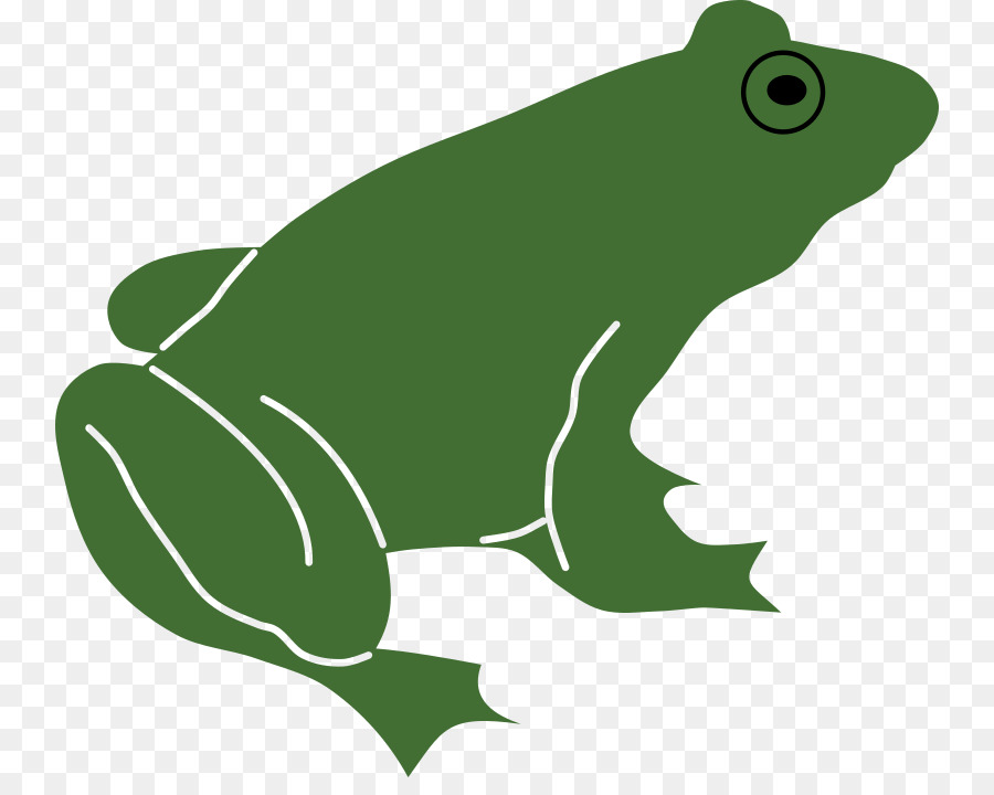 лягушка，Lithobates крикливая PNG