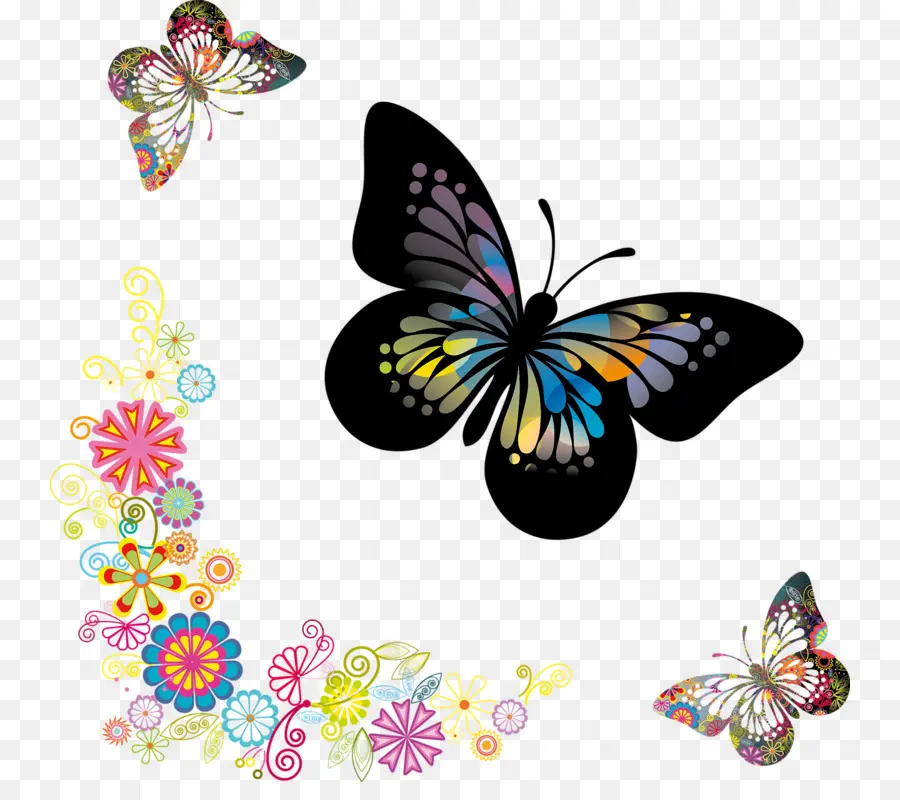 бабочка монарх，бабочка PNG