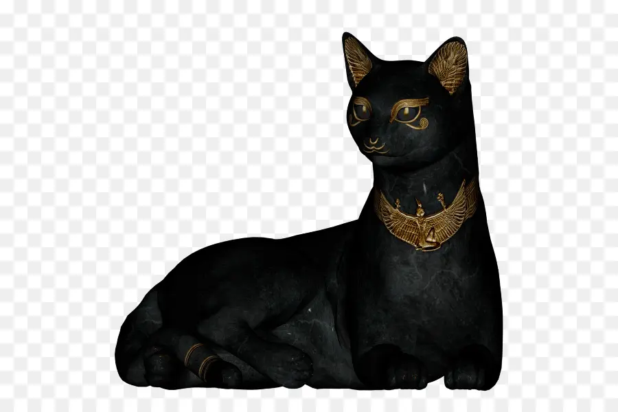 Черная кошка，Кот PNG