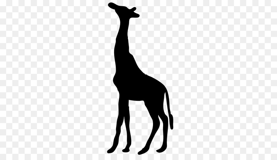 жираф，компьютерные иконки PNG