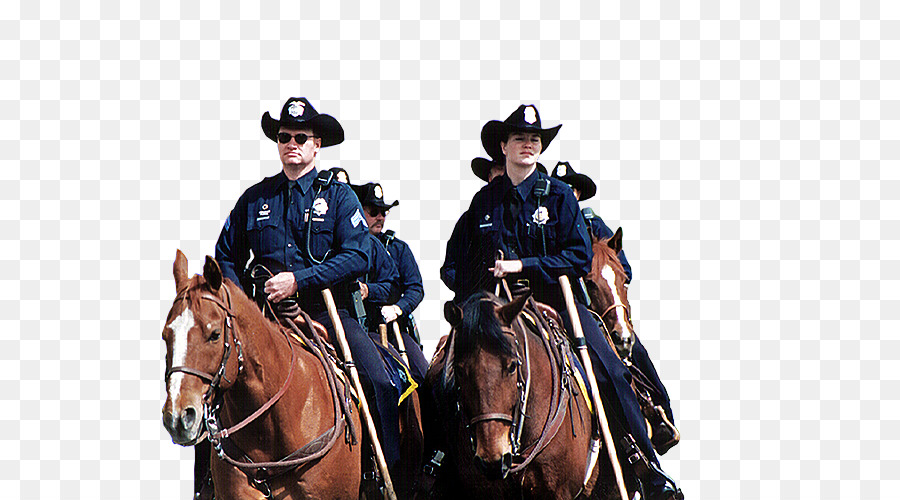 лошадь，полицейской ассоциации Денвер защитный PNG