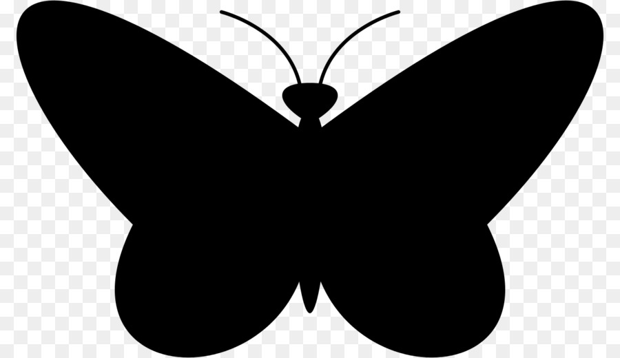 бабочка，черный и белый PNG