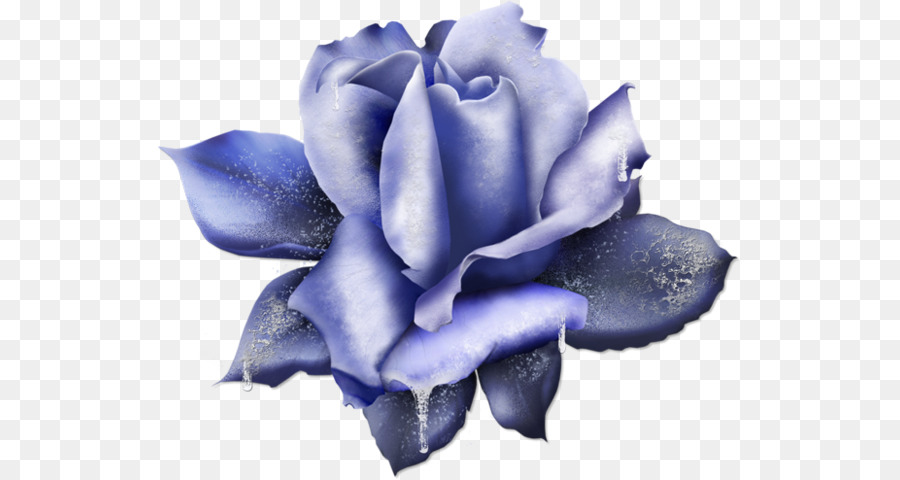 голубая роза，инкапсулированный Postscript PNG