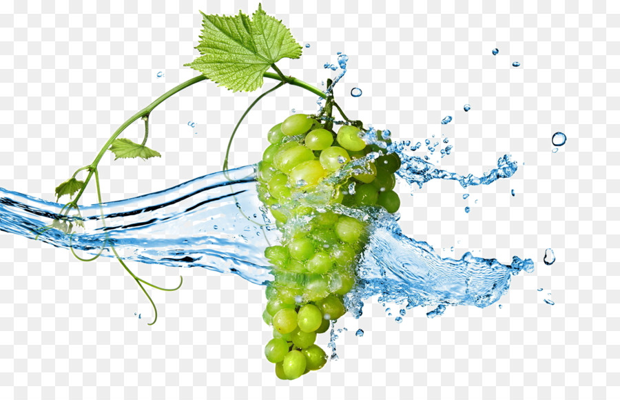 виноград，стоковая фотография PNG