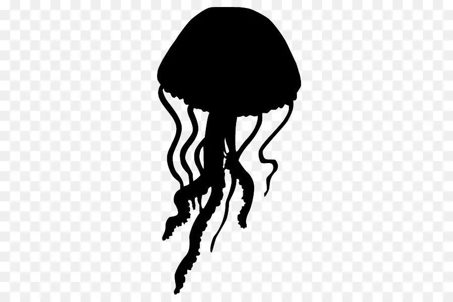 медузы，силуэт PNG