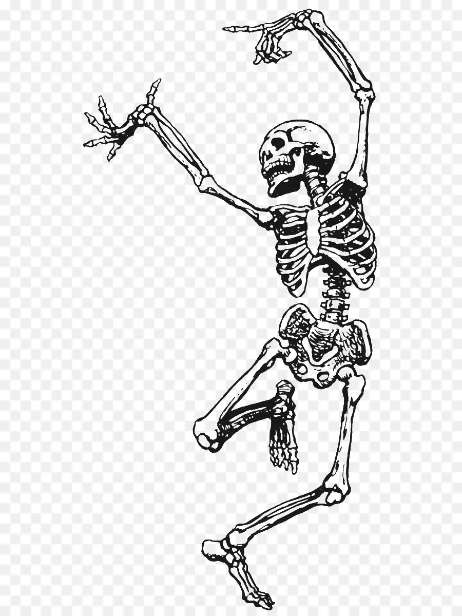 скелет，смерть PNG