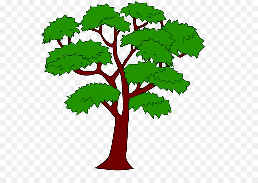 махагон，рисовать деревья PNG