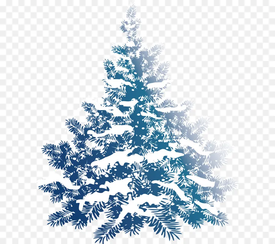 Рождественская елка，снег PNG