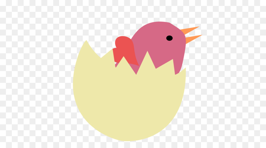 Bird，Bird Egg PNG
